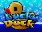Luck-Duck